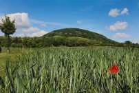 Spolek Cesta Česka slavnostně otevřel Poutní cestu Říp–Blaník